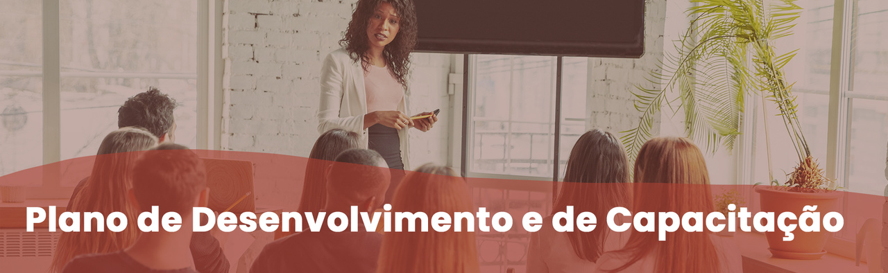 Plano de desenvolvimento capacitacao