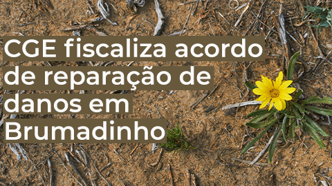 CGE irá fiscalizar execução do acordo para reparar danos em Brumadinho 