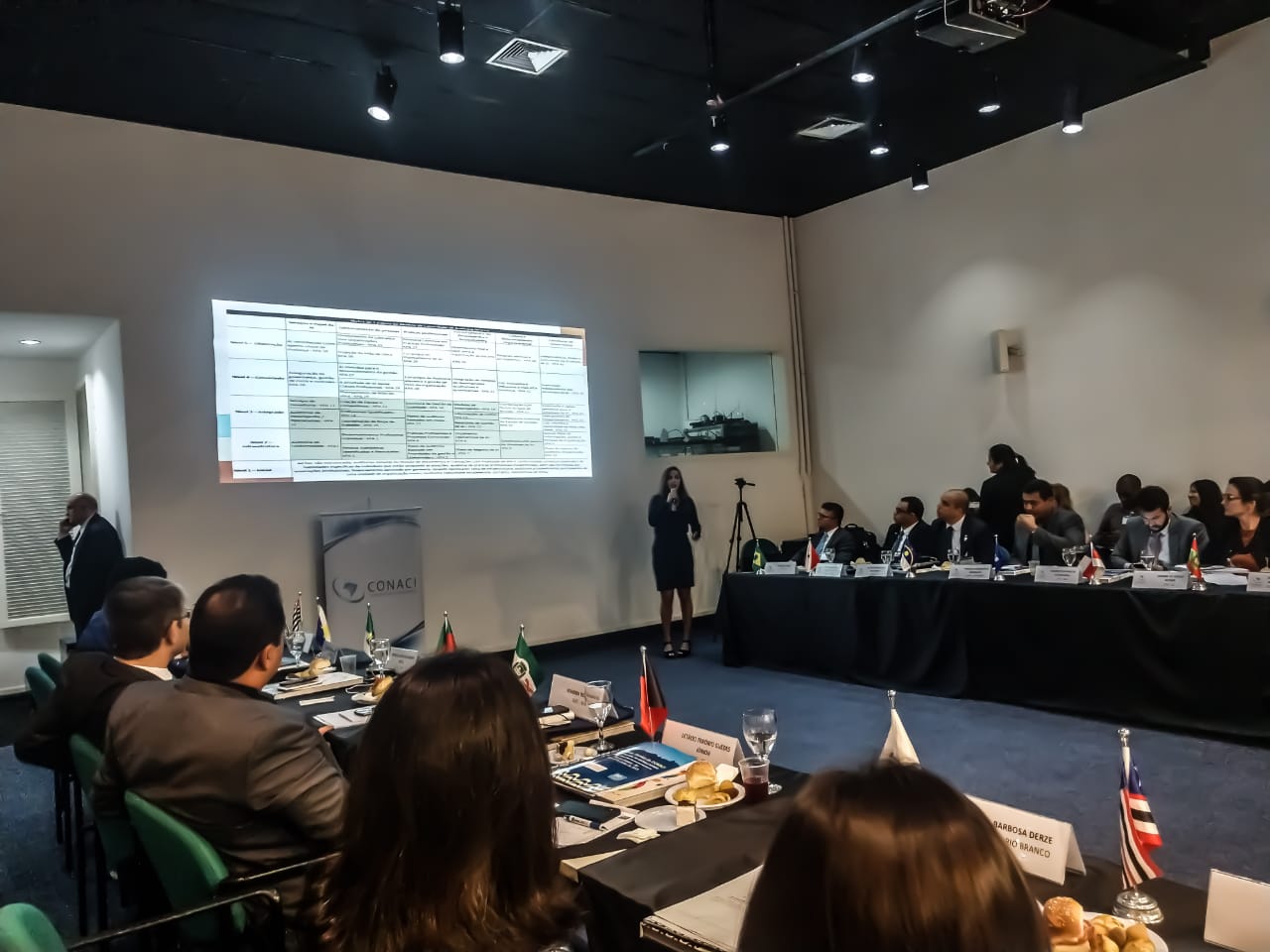 31ª Reunião Técnica do CONACI: IA-CM em alta